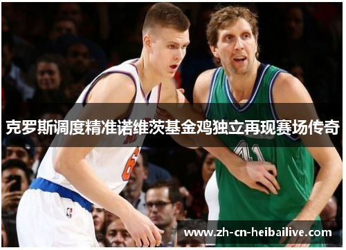 克罗斯调度精准诺维茨基金鸡独立再现赛场传奇 克罗斯调度精准诺维茨基金鸡独立再现赛场传奇